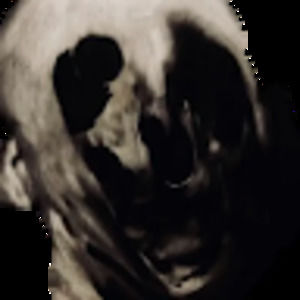 Meet your Posher, Ethan